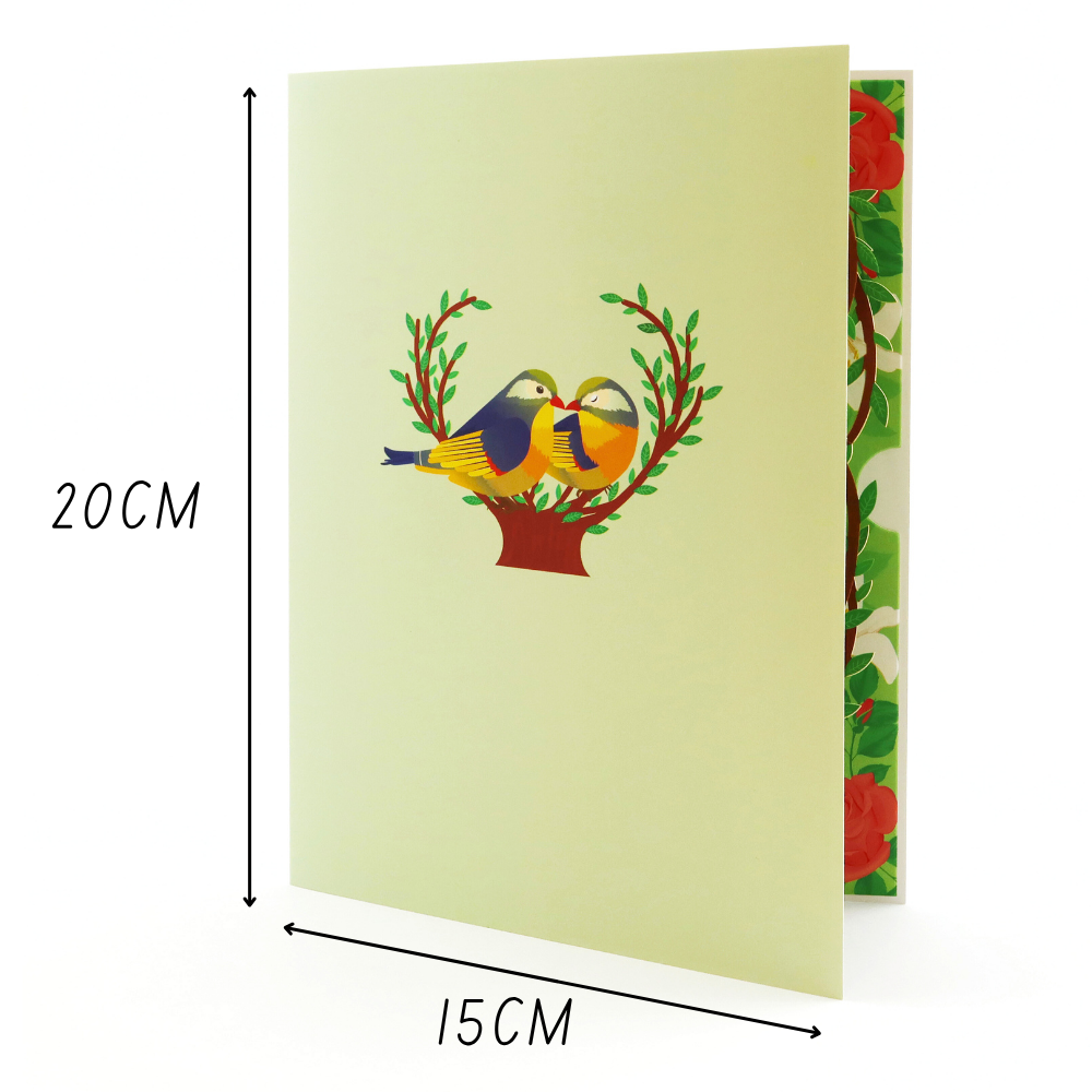 3D Pop-Up Karte Vögel