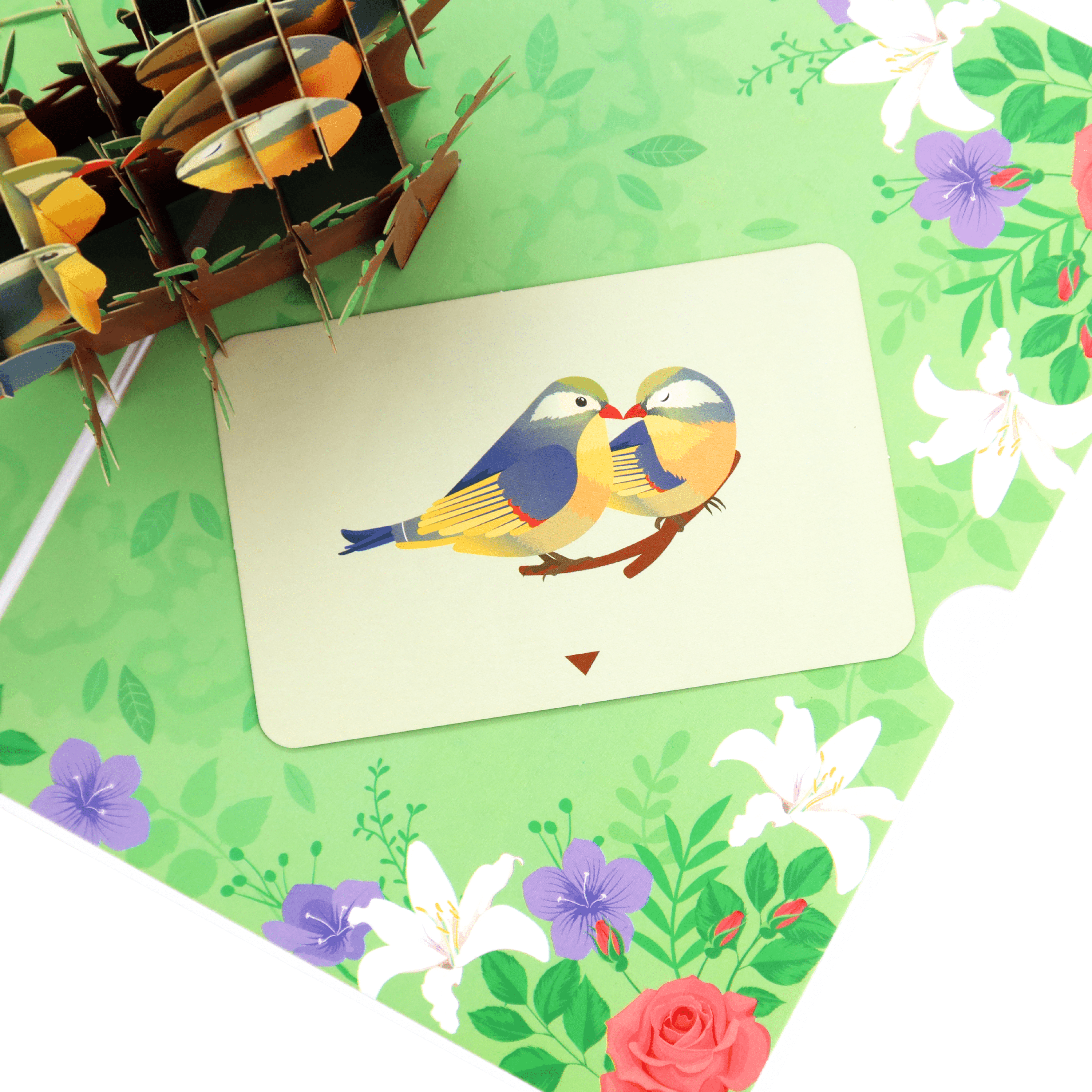 3D Pop - Up Karte Vögel - DORAFIORA