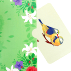 3D Pop - Up Karte Vögel - DORAFIORA