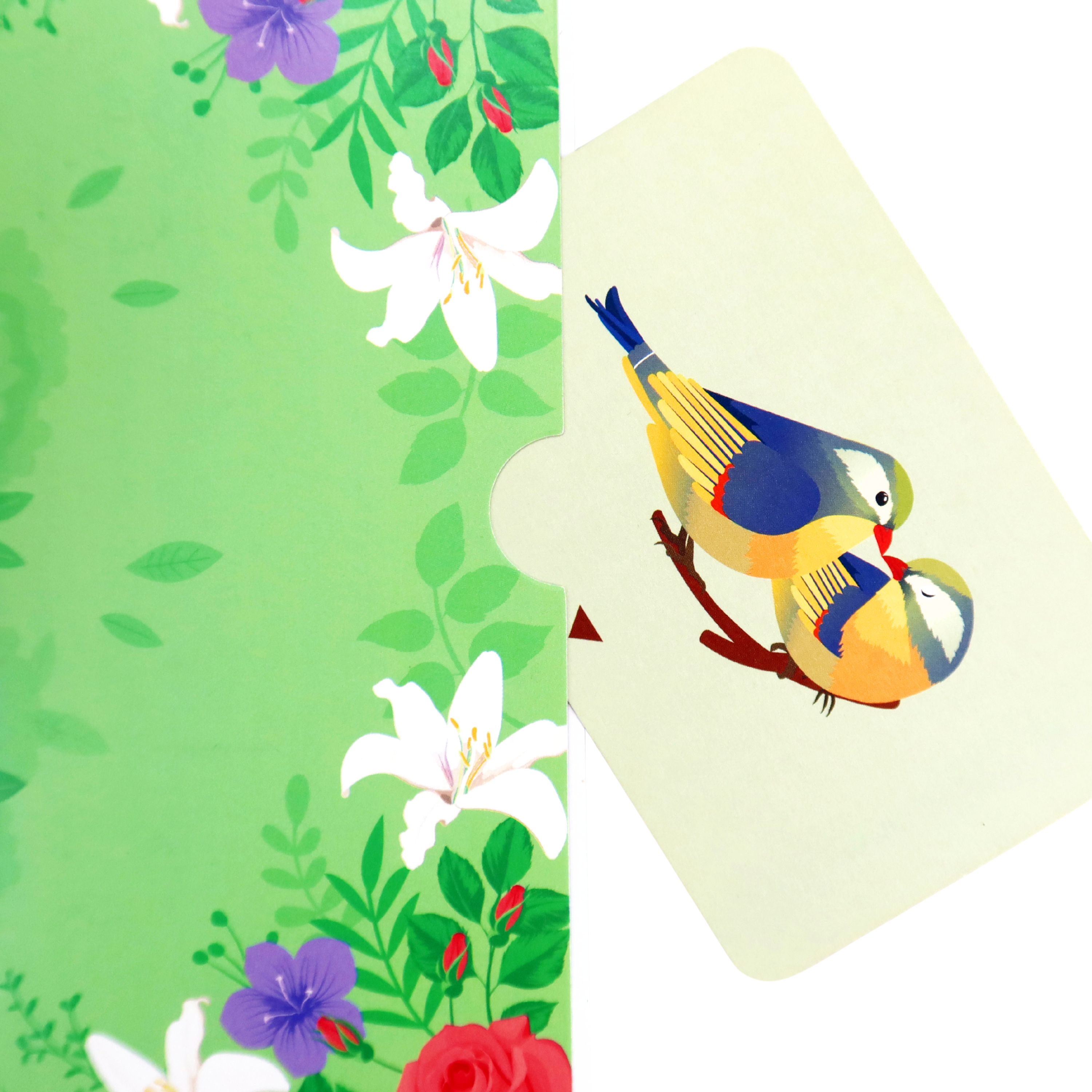 3D Pop-Up Karte Vögel