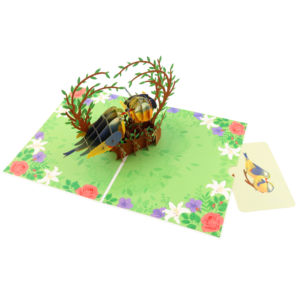3D Pop-Up Karte Vögel