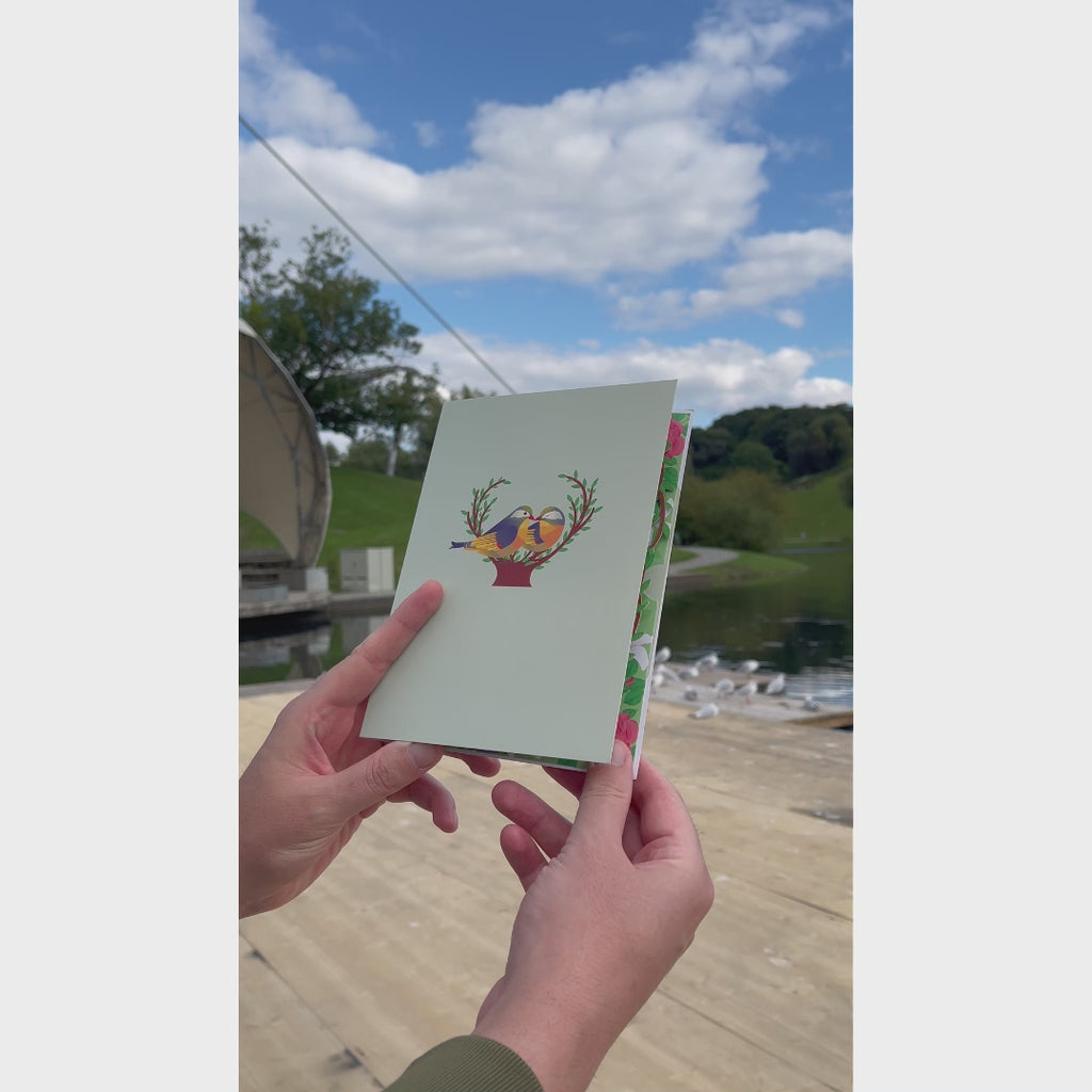 3D Pop-Up Karte Vögel