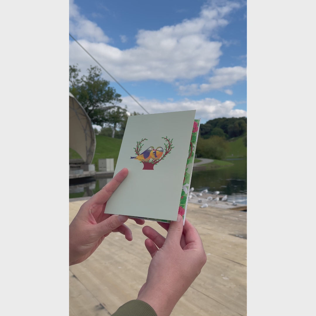 3D Pop-Up Karte Vögel